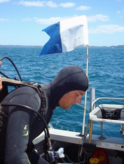 Doing it right - a diver correctly flying a dive flag.